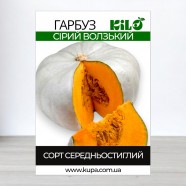 Насіння гарбуза Сіра Волзька, 100г